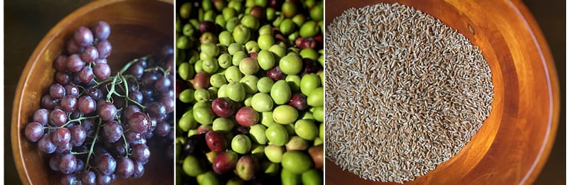 The Mediterranean Triad: Grapes, Olives and Grains