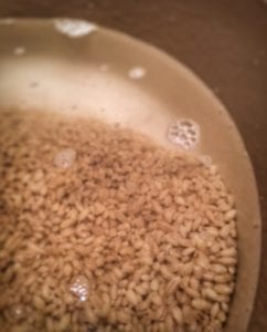 Soaking Barley Groats