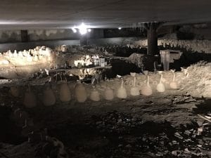 Section of the Horrea Galbana beneath the New Testaccio Market