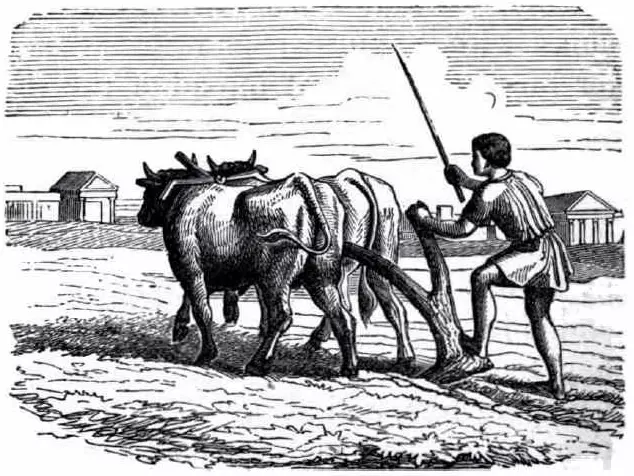 Roman Ploughman in the Field