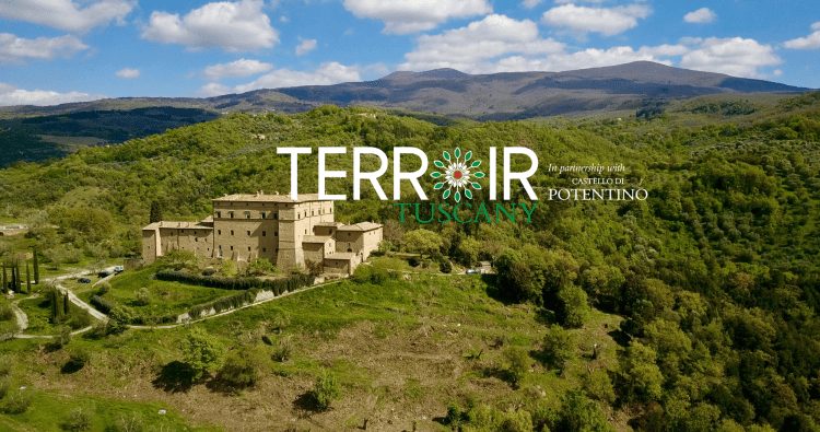 Terroir Tuscany 2018