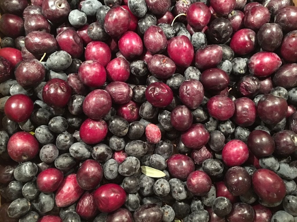 A fresh harvest of olives