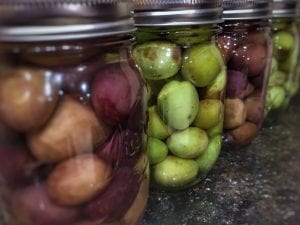 Olives after canning