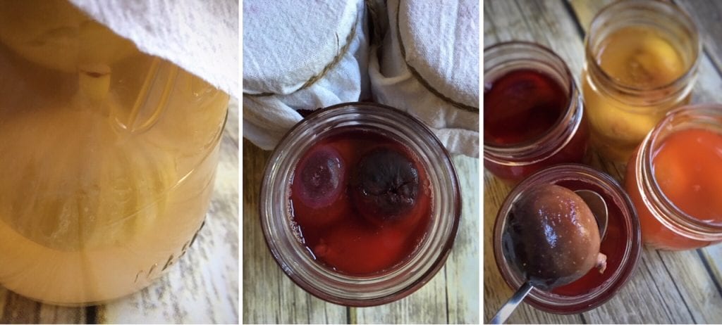 Fig Vinegar Fermentation Process
