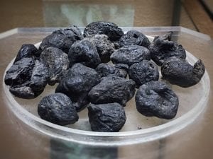 Carbonized figs excavated from Herculaneaum