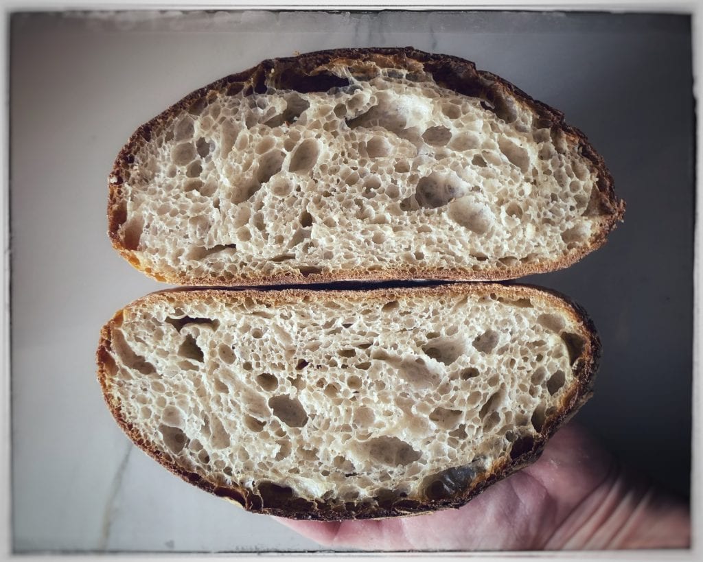 Bread made with Pliny the Elder's Chickling Vetch Sourdough Bread Starter | Tavola Mediterranea